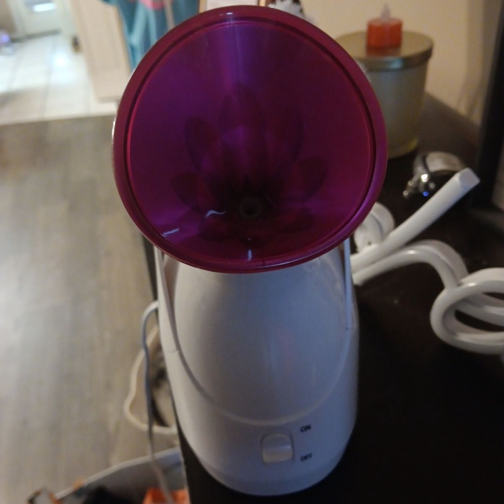 Face steamer